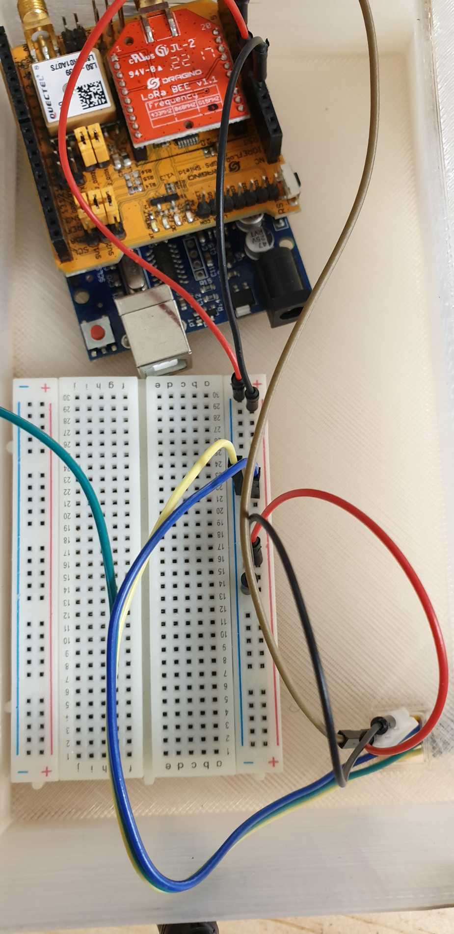sensor